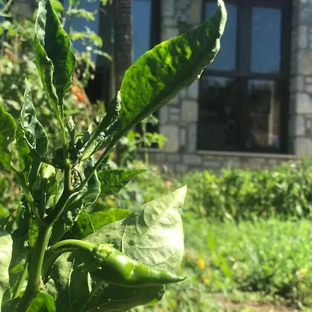 Vendégház Melinda & Restaurant 3*