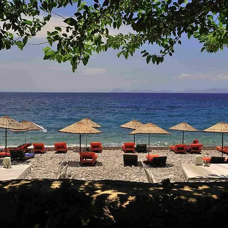 Melinda & Restaurant Mesudiye