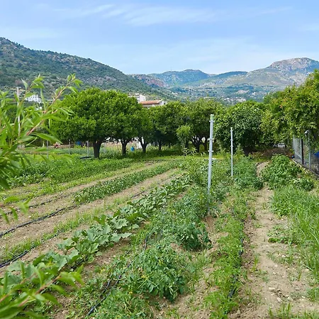 Melinda & Restaurant